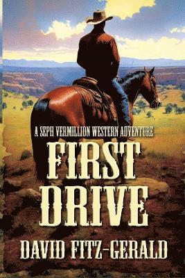 David Fitz-Gerald - First Drive, Häftad