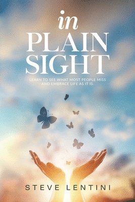 In Plain Sight: Learn to See What Most People Miss and Embrace Life as it Is! 1