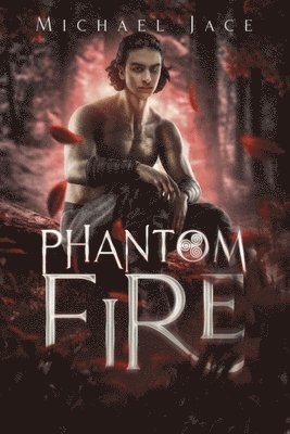 bokomslag Phantom Fire