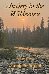 bokomslag Anxiety in the Wilderness