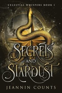 bokomslag Secrets and Stardust