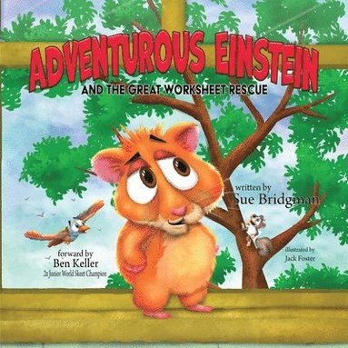 bokomslag Adventurous Einstein and the Great Worksheet Rescue