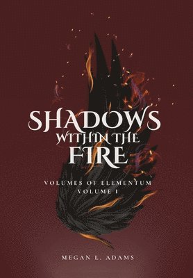 Shadows Within the Fire 1