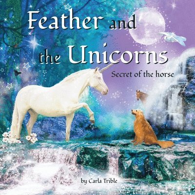 Feather and the Unicorns 1