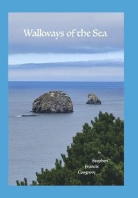 bokomslag Walkways of the Sea