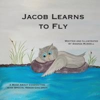 Jacob Learns To Fly 1