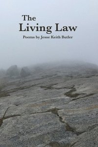 bokomslag The Living Law