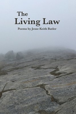bokomslag The Living Law