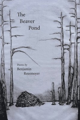 Benjamin Rozonoyer - Beaver Pond, Häftad