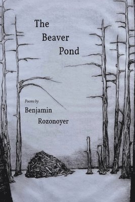 bokomslag The Beaver Pond