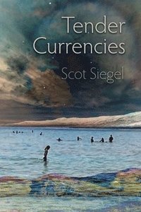 bokomslag Tender Currencies
