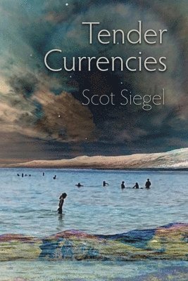 bokomslag Tender Currencies