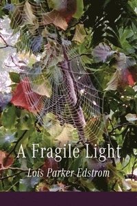 bokomslag Fragile Light