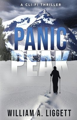 bokomslag Panic Peak