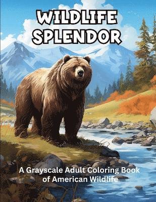 Wildlife Splendor 1