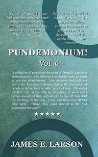 bokomslag Pundemonium! Vol. 6