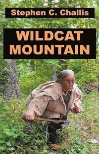 bokomslag Wildcat Mountain