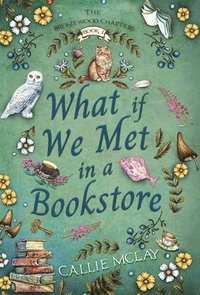 bokomslag What If We Met In A Bookstore