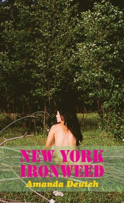 New York Ironweed 1