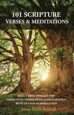 101 Scripture Verses & Meditations 1