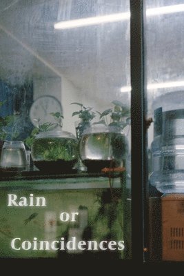 Xinyu Liu - Rain or Coincidences, Häftad