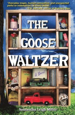 bokomslag Goose Waltzer
