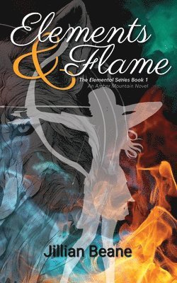 bokomslag Elements & Flame