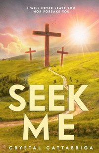bokomslag Seek Me