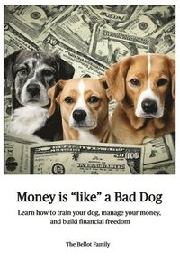 bokomslag Money is Like a Bad Dog
