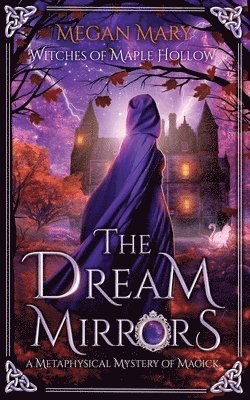 bokomslag The Dream Mirrors: A Metaphysical Mystery of Magick