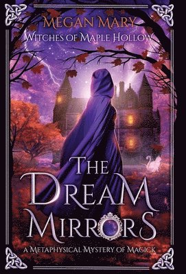 bokomslag The Dream Mirrors: A Metaphysical Mystery of Magick