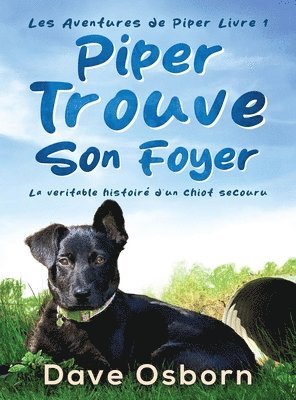 Piper Trouve Son Foyer 1