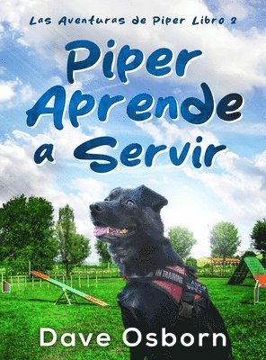 bokomslag Piper Aprende a Servir