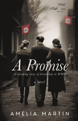 bokomslag Promise