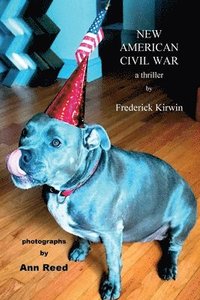 bokomslag New American Civil War