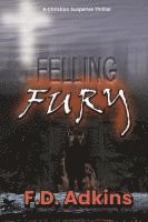 bokomslag Felling Fury