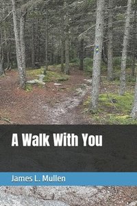 bokomslag Walk With You