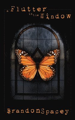 A Flutter in the Window 1