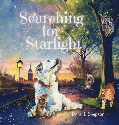 Searching for Starlight 1