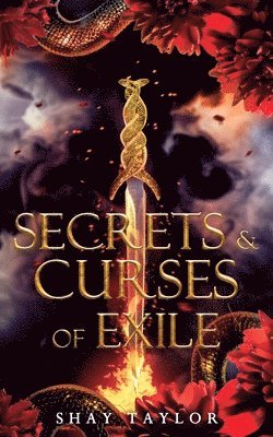 bokomslag Secrets & Curses of Exile