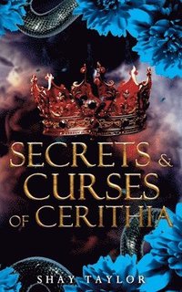 bokomslag Secrets & Curses of Cerithia