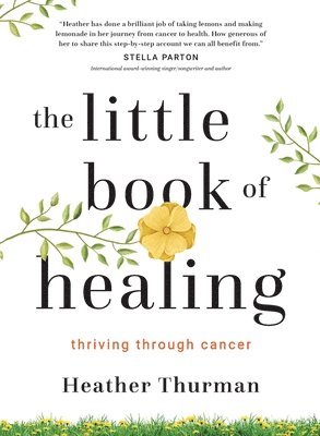 bokomslag The Little Book of Healing