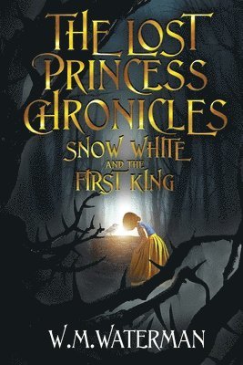 bokomslag The Lost Princess Chronicles