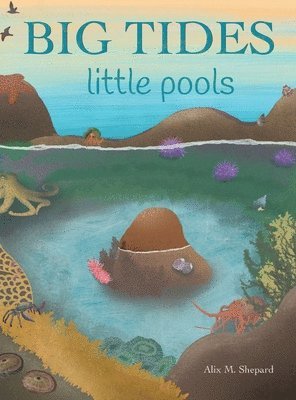 Big Tides Little Pools 1