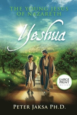 bokomslag Yeshua