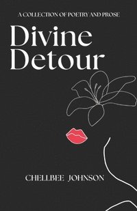 bokomslag Divine Detour
