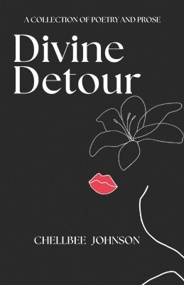 bokomslag Divine Detour