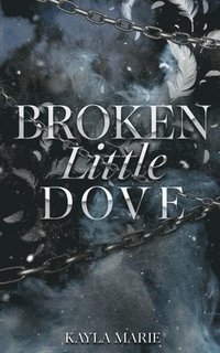 bokomslag Broken Little Dove