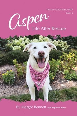 Aspen, Life After Rescue