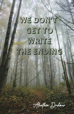 bokomslag We Don't Get to Write the Ending